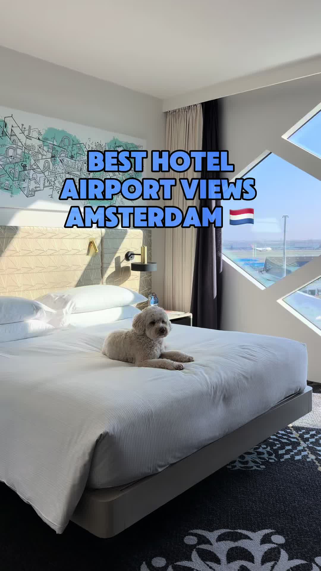 Best hotel with Airport Views - Amsterdam
📍Hilton Amsterdam Airport Schiphol Address: Schiphol Boul