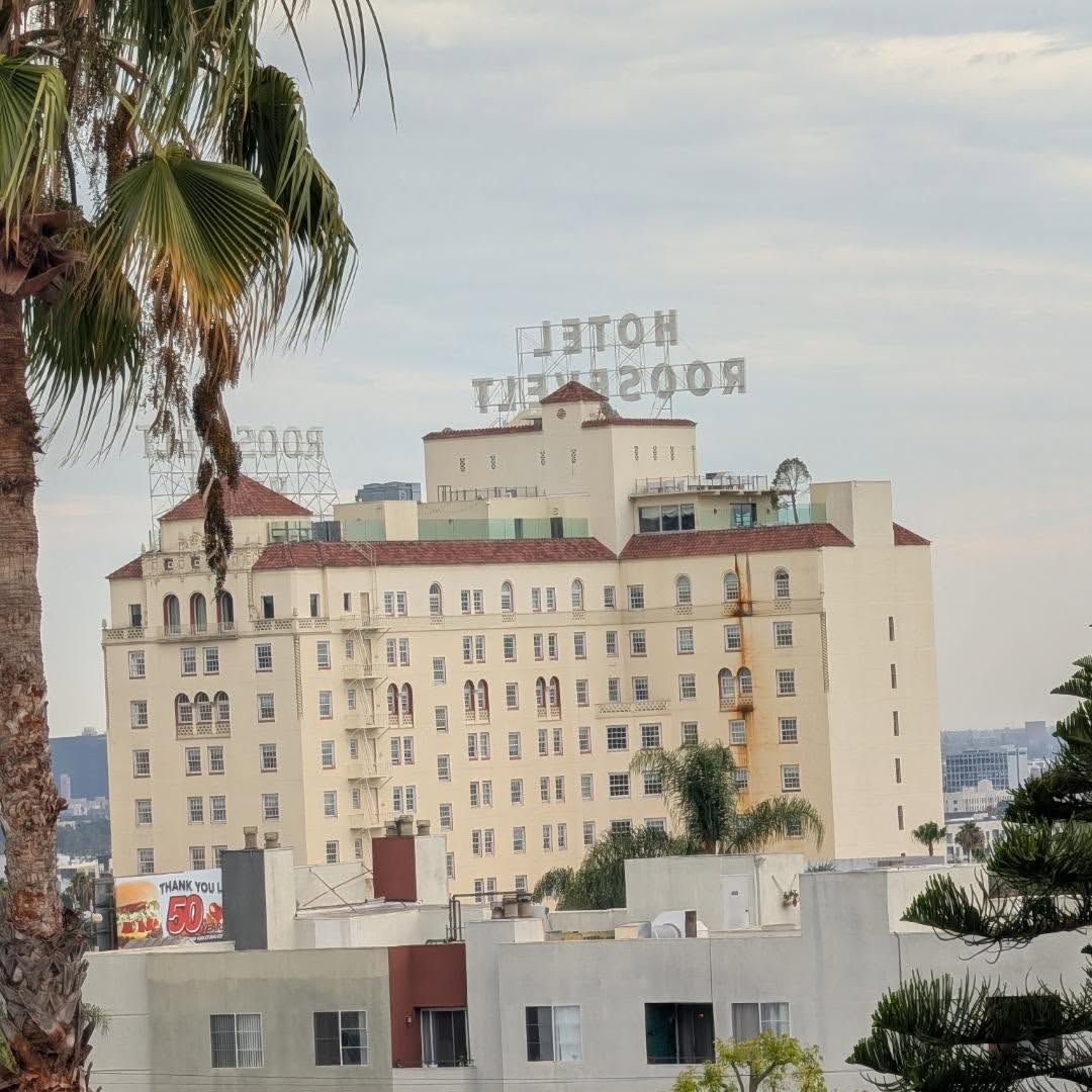 Rooftop deck view #hollywoodhills #thehollywoodroosevelt #santamonicamountains #dtla