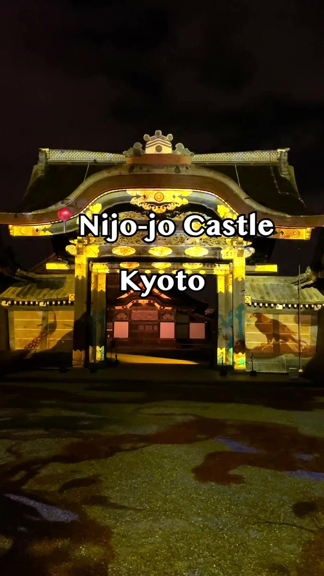 🎑🏯 Nijo Castle（元離宮二条城 – 京都）
 
A historic castle in the heart of Kyoto, transformed into a magical 