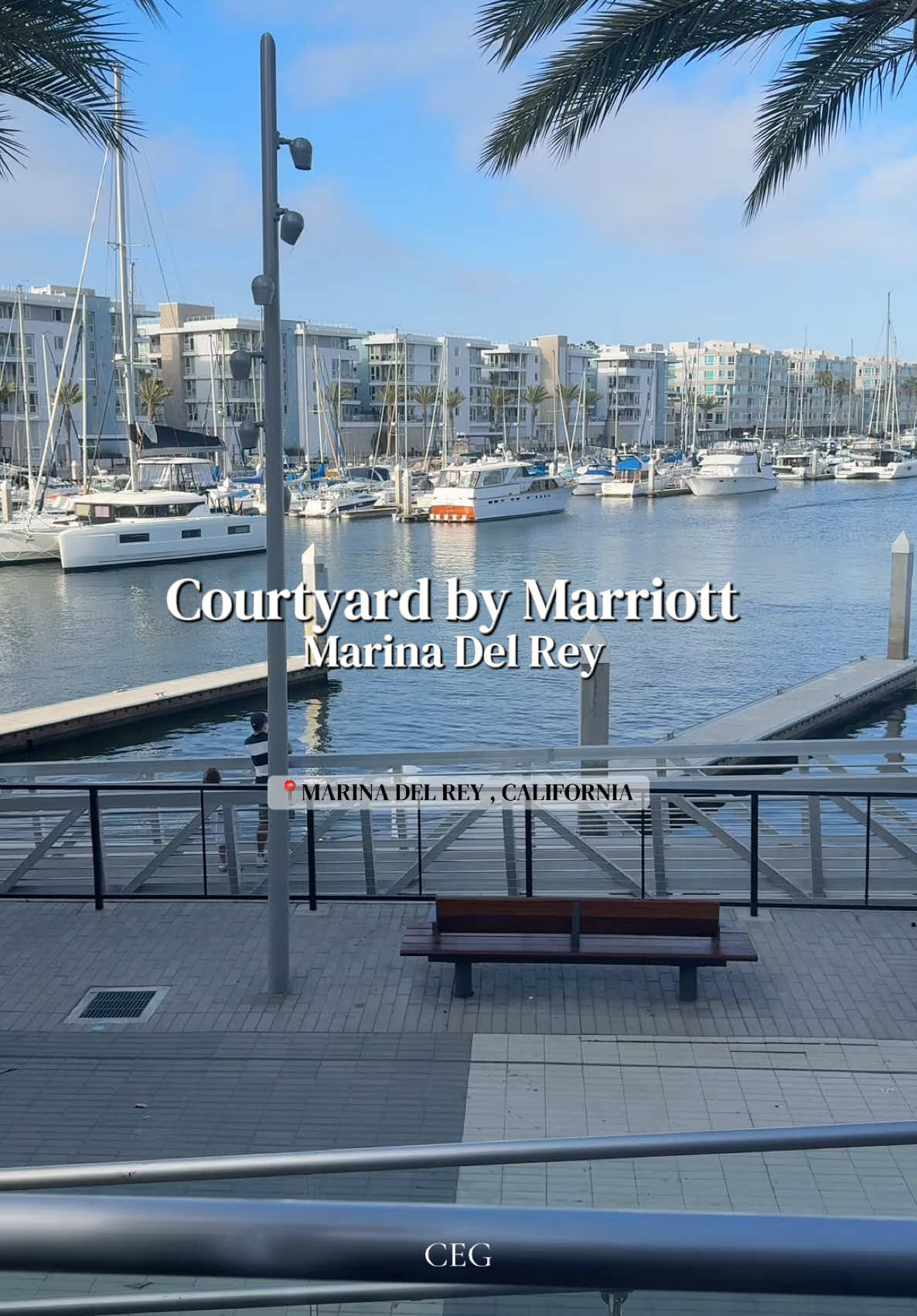 This didn’t feel like staying in the middle of LA at all 🌴🍸 Courtyard Marina del Rey has such a la