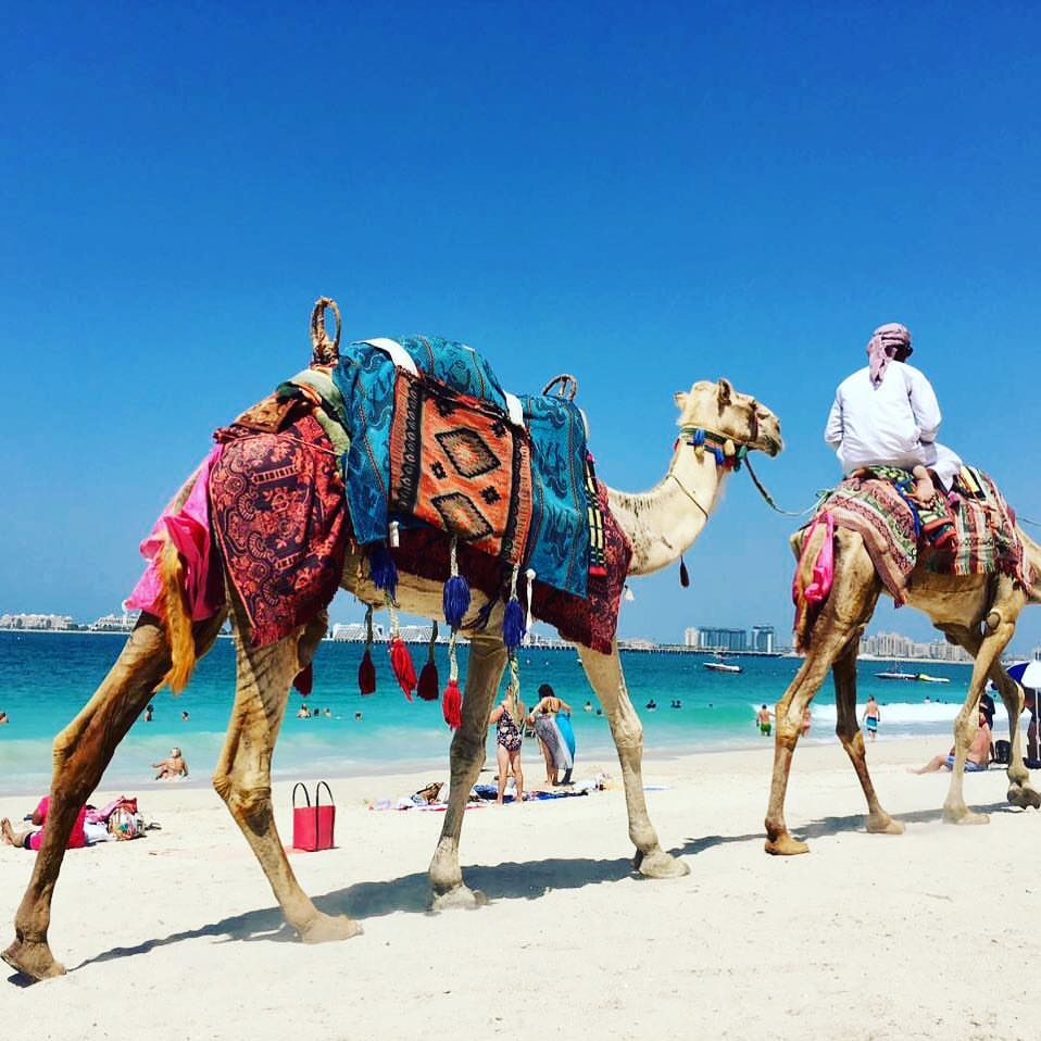 #Urlaub#sister#entspannung#hiltonlongbeachhotel#kamel#scheich#duabimall#fristflight