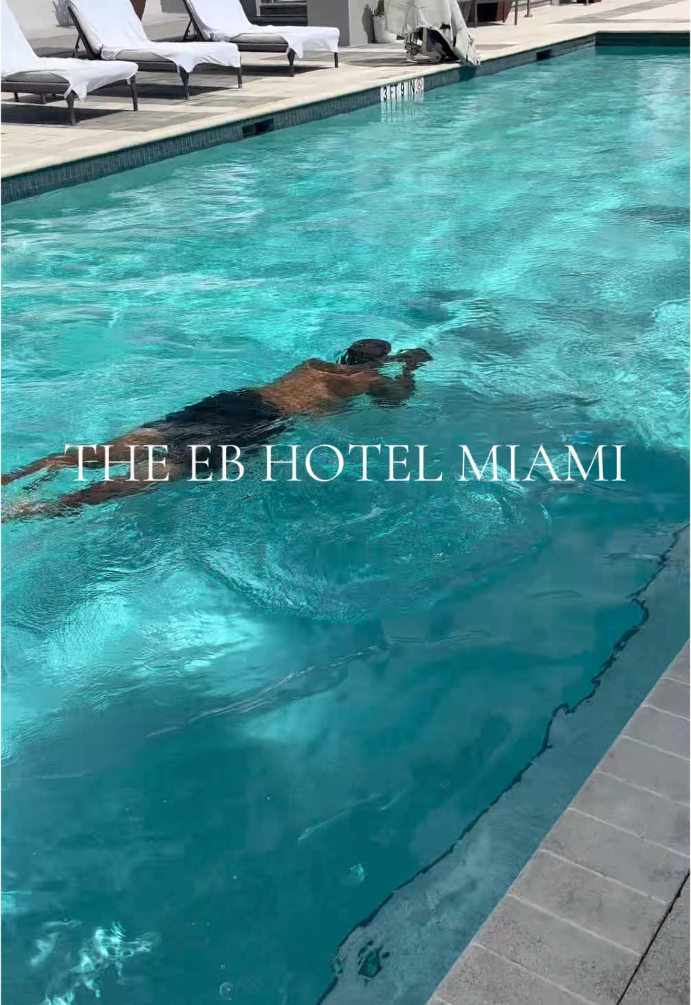 Stayed at The EB Hotel Miami. Safe to say I’ll be back! #fyp #miami #travel #explorepage✨ #ebhotelmi