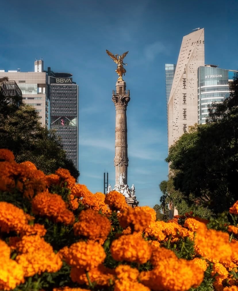 Every corner of Mexico City whispers stories in October—of vibrant marigolds, candlelit altars, and 