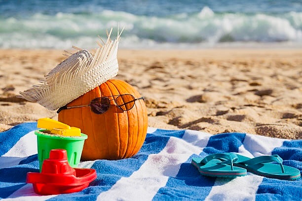 #happyhalloween🎃👻 

Per prenotazioni e informazioni in merito alla stagione estiva 2026 vi preghia