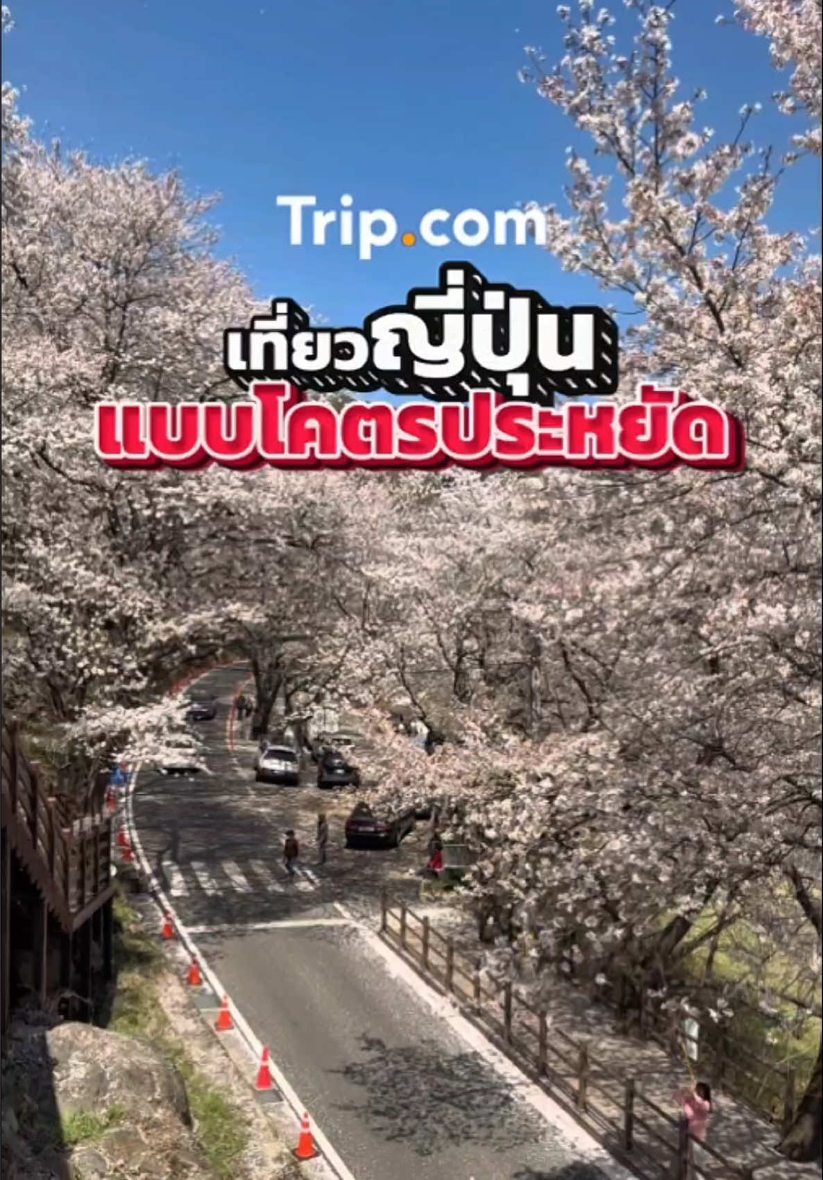 เที่ยวเกียวโตฟินๆ พักผ่อนสไตล์ญี่ปุ่นโมเดิร์นที่ Richmond Hotel Premier Kyoto Shijo โรงแรมสวย ใจกลาง