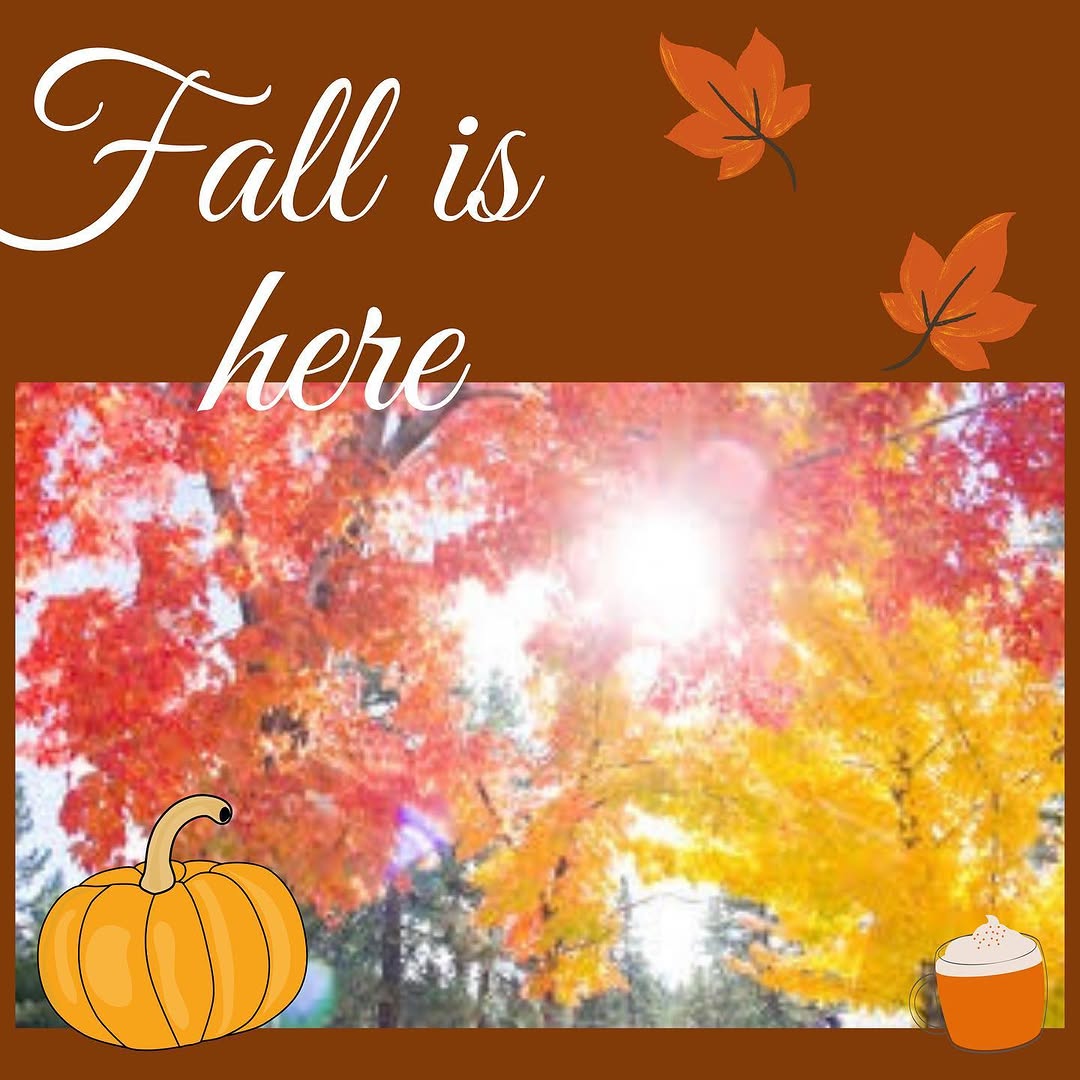 Reasons to love fall.
1. Perfect weather for travel 
2. Pumpkin pies
3. Pumpkin spice latte 
4. Autu