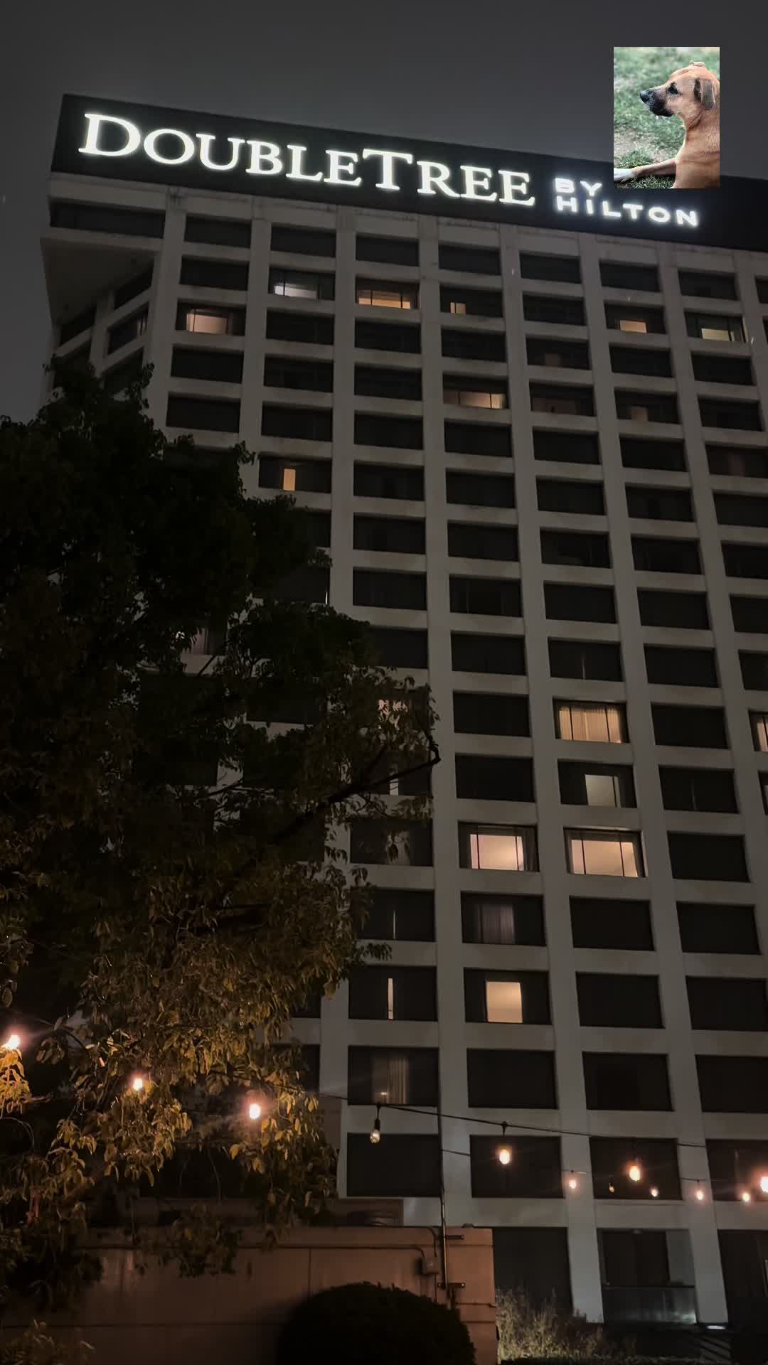 DoubleTree by Hilton Los Angeles Norwalk photo 4