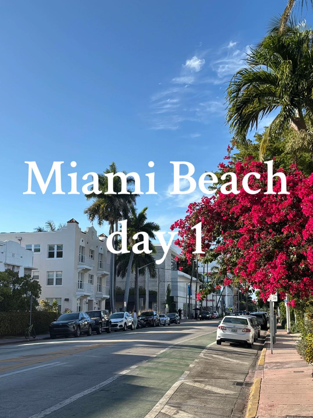 miami beach pulled out all the stops for our first day 🌴🦜 #miami #miamibeach #esmehotel #bodegataq
