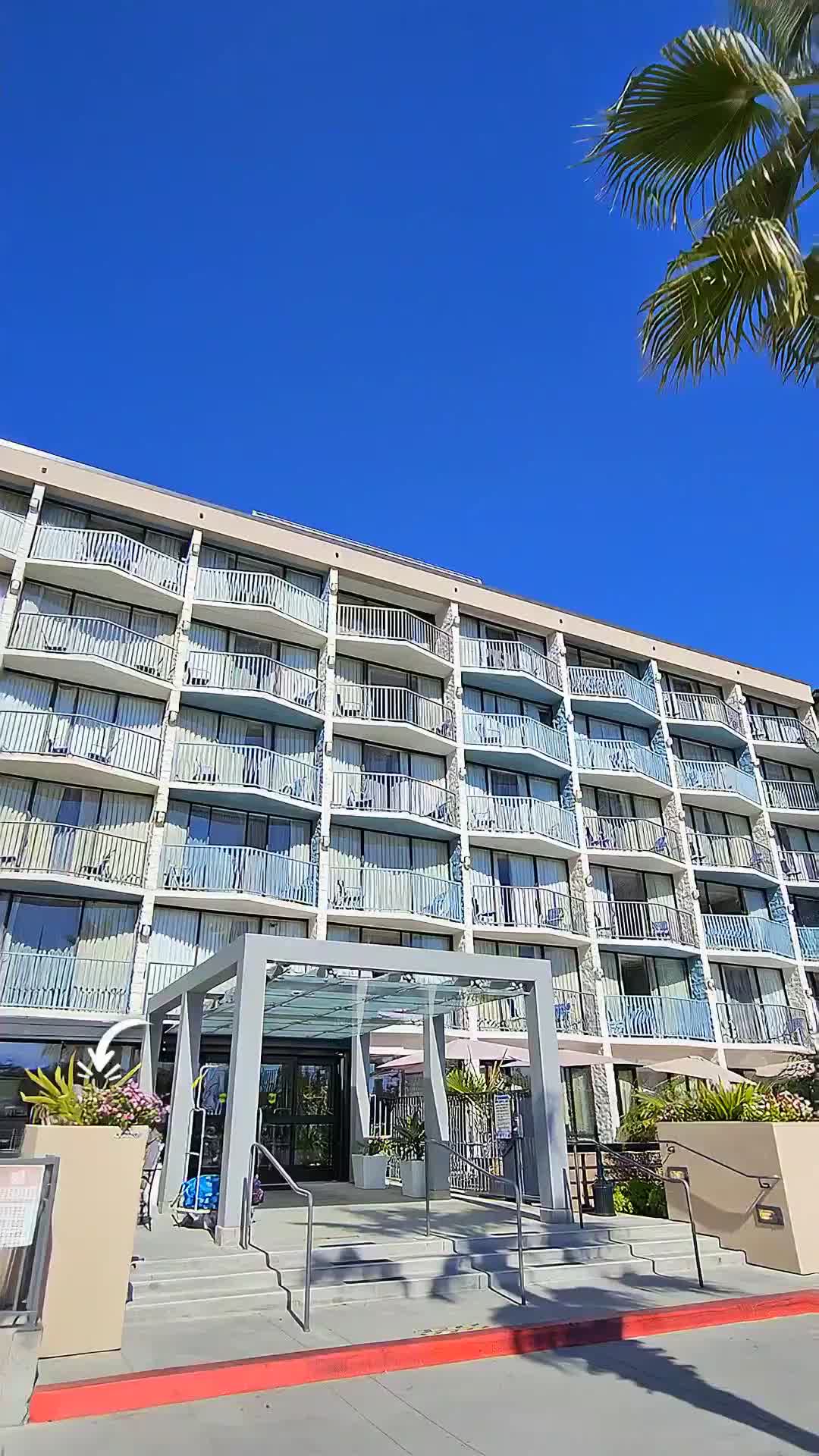 😎EN checked out Best Western Yacht Harbor Hotel so you don't have to guess — it's a yes 🥂 #SanDieg