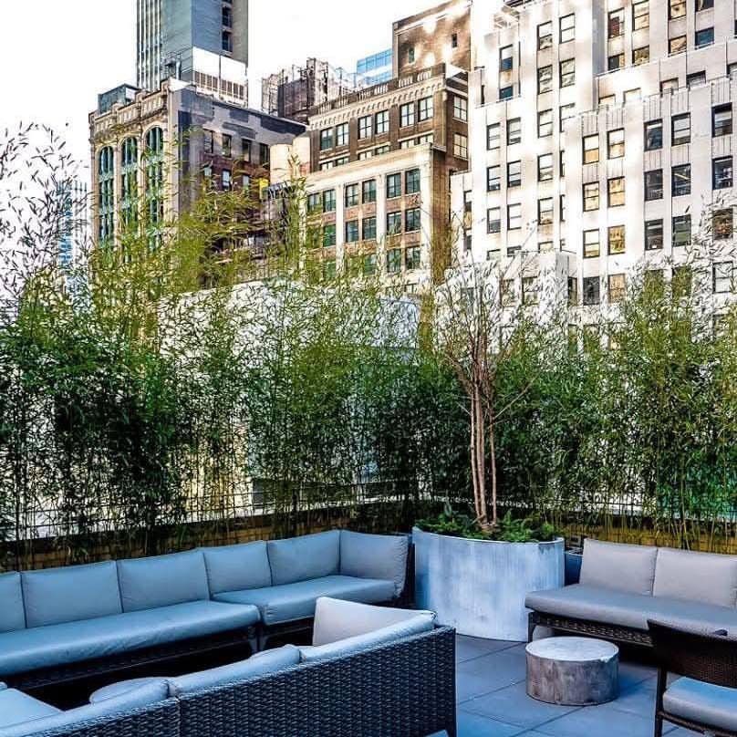 🗽✨ NEW YORK ESCAPE ✨🗽

There’s nothing quite like New York at Black Friday — the buzz, the lights,